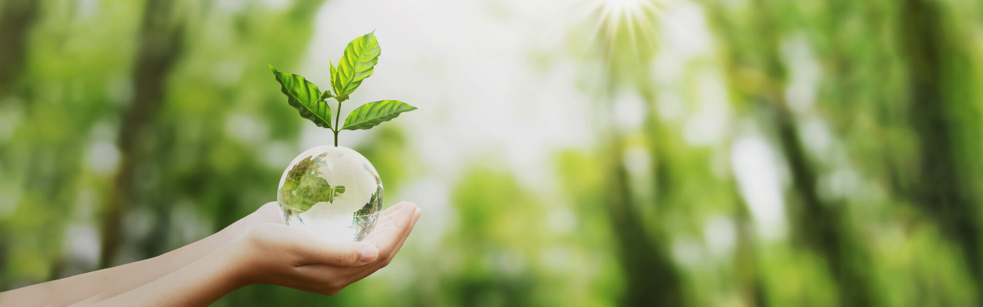 Transformational Management Development Indonesia Wise