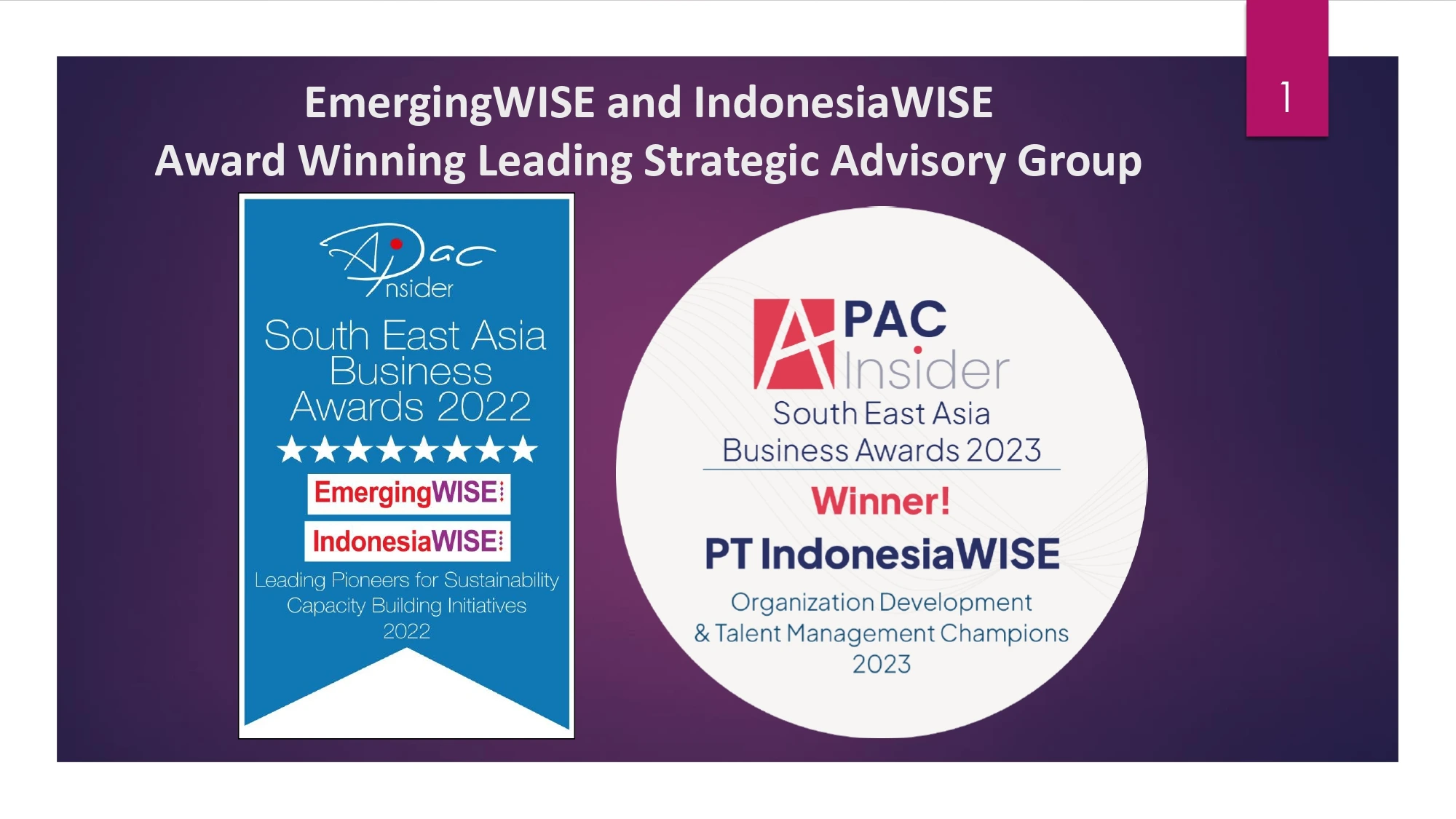EmergingWISE and IndonesiaWISE Advisory and Consulting Suite (English)