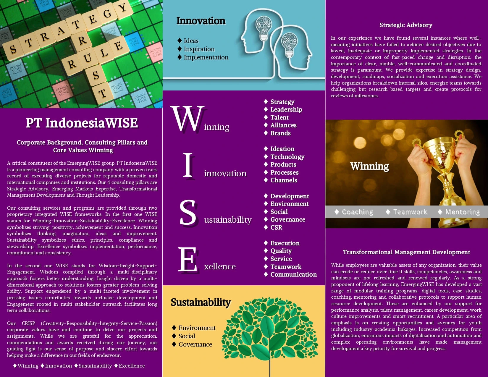 IndonesiaWISE Brochure