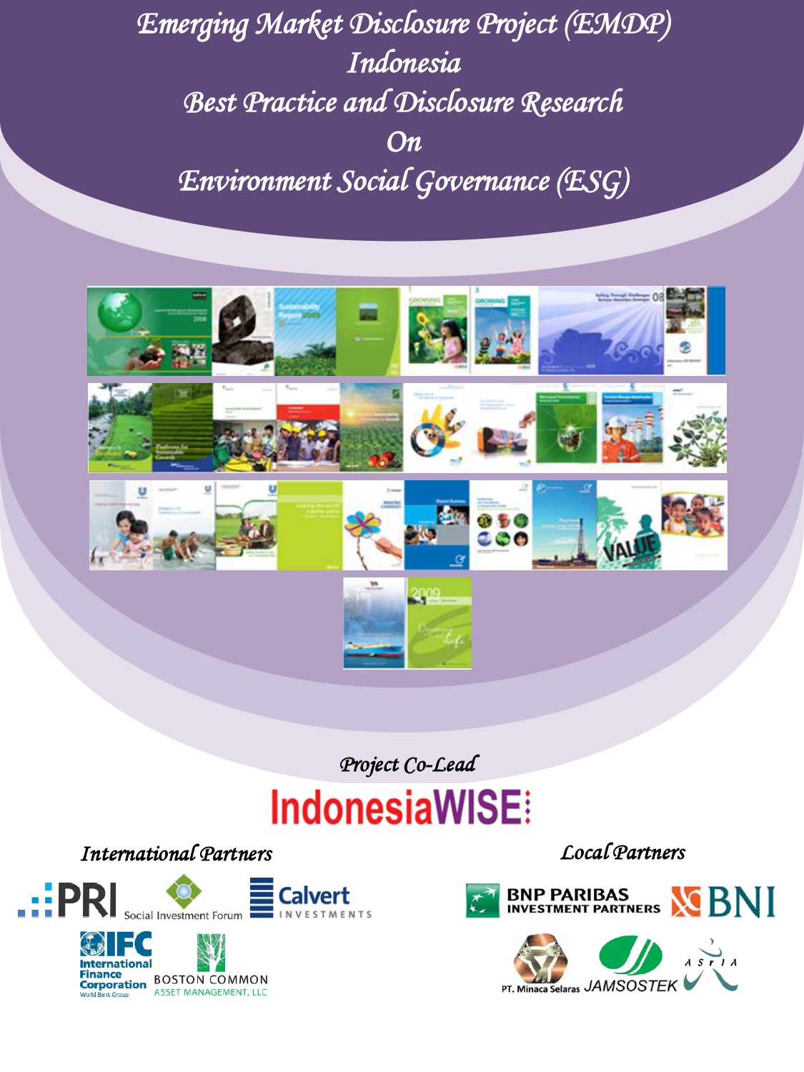 IndonesiaWISE pioneering collaboration on Emerging Markets Disclosure October 2010